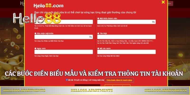Các bước điền biểu mẫu và kiểm tra thông tin tài khoản