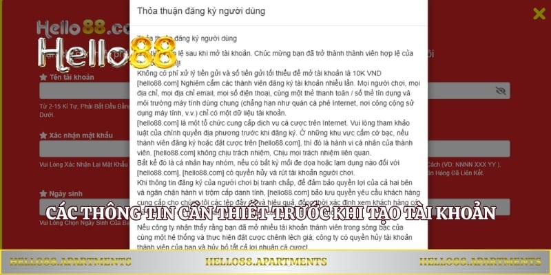 Các thông tin cần thiết trước khi tạo tài khoản trực tuyến