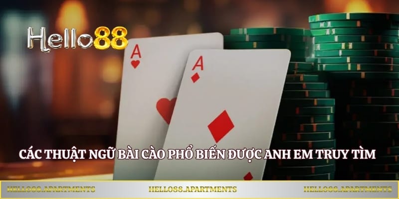 Các thuật ngữ bài cào phổ biến được anh em truy tìm