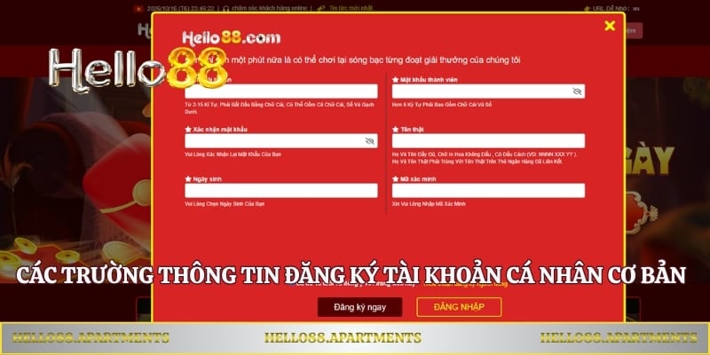 Các trường thông tin đăng ký tài khoản cá nhân cơ bản
