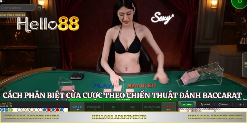 Cách phân biệt cửa cược theo chiến thuật đánh Baccarat